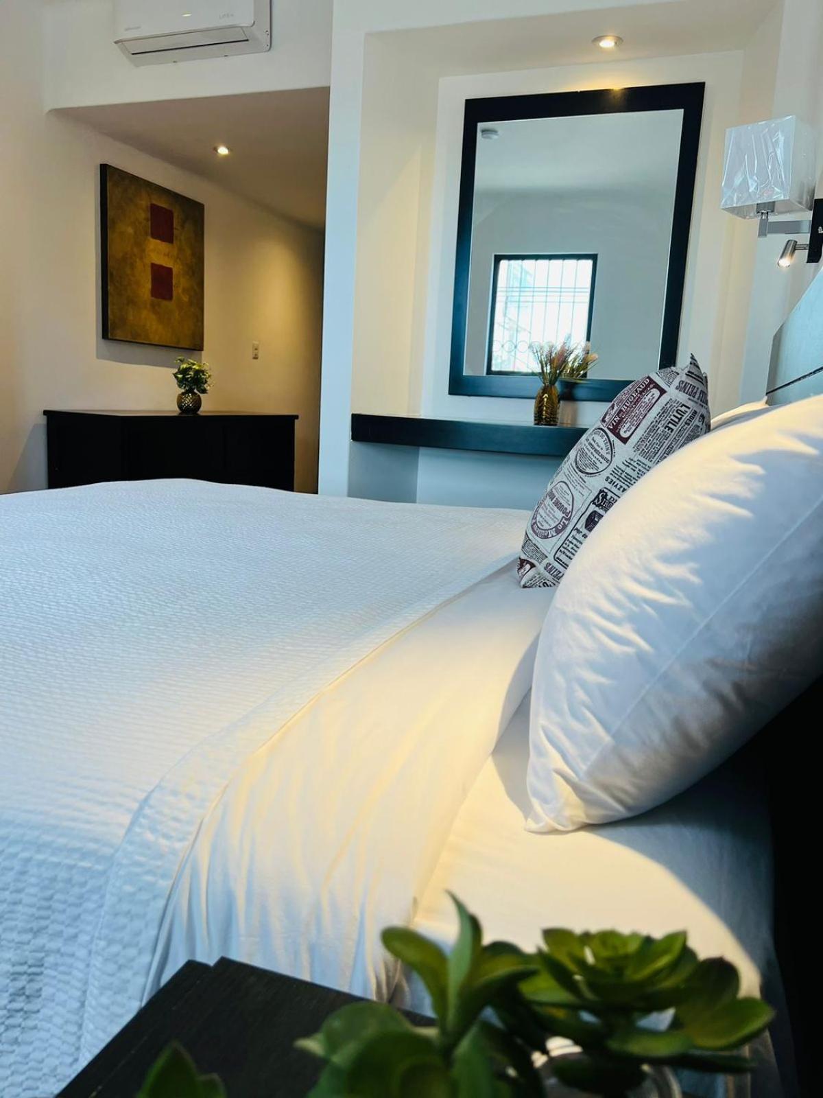 Qa Hotel Σαν Λουίς Ποτοσί Εξωτερικό φωτογραφία