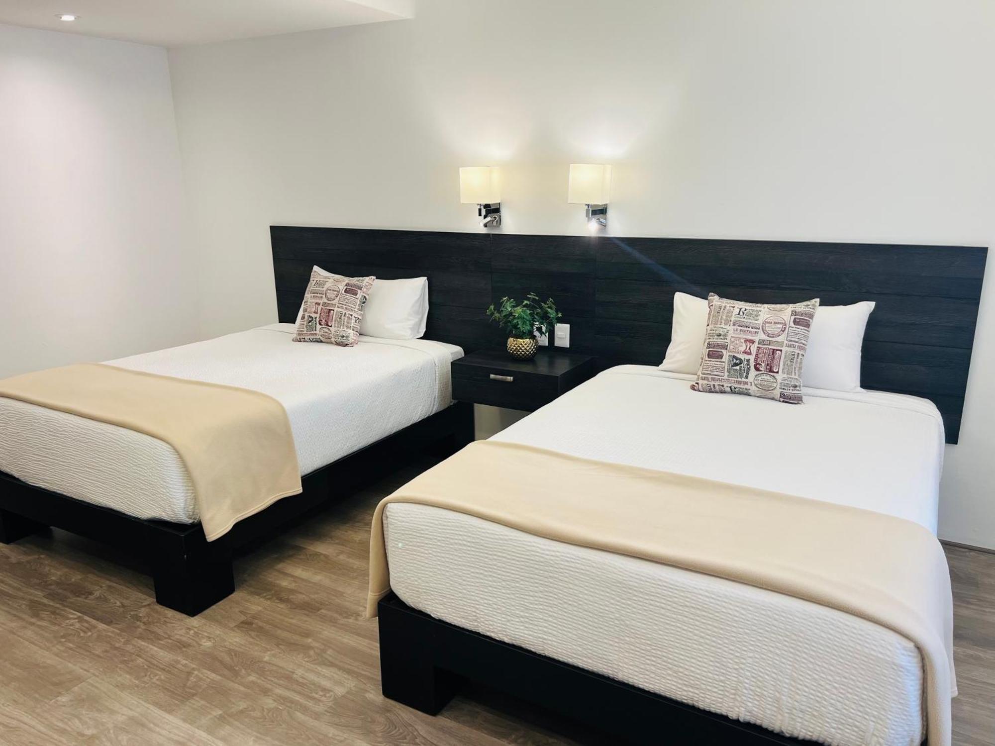 Qa Hotel Σαν Λουίς Ποτοσί Εξωτερικό φωτογραφία
