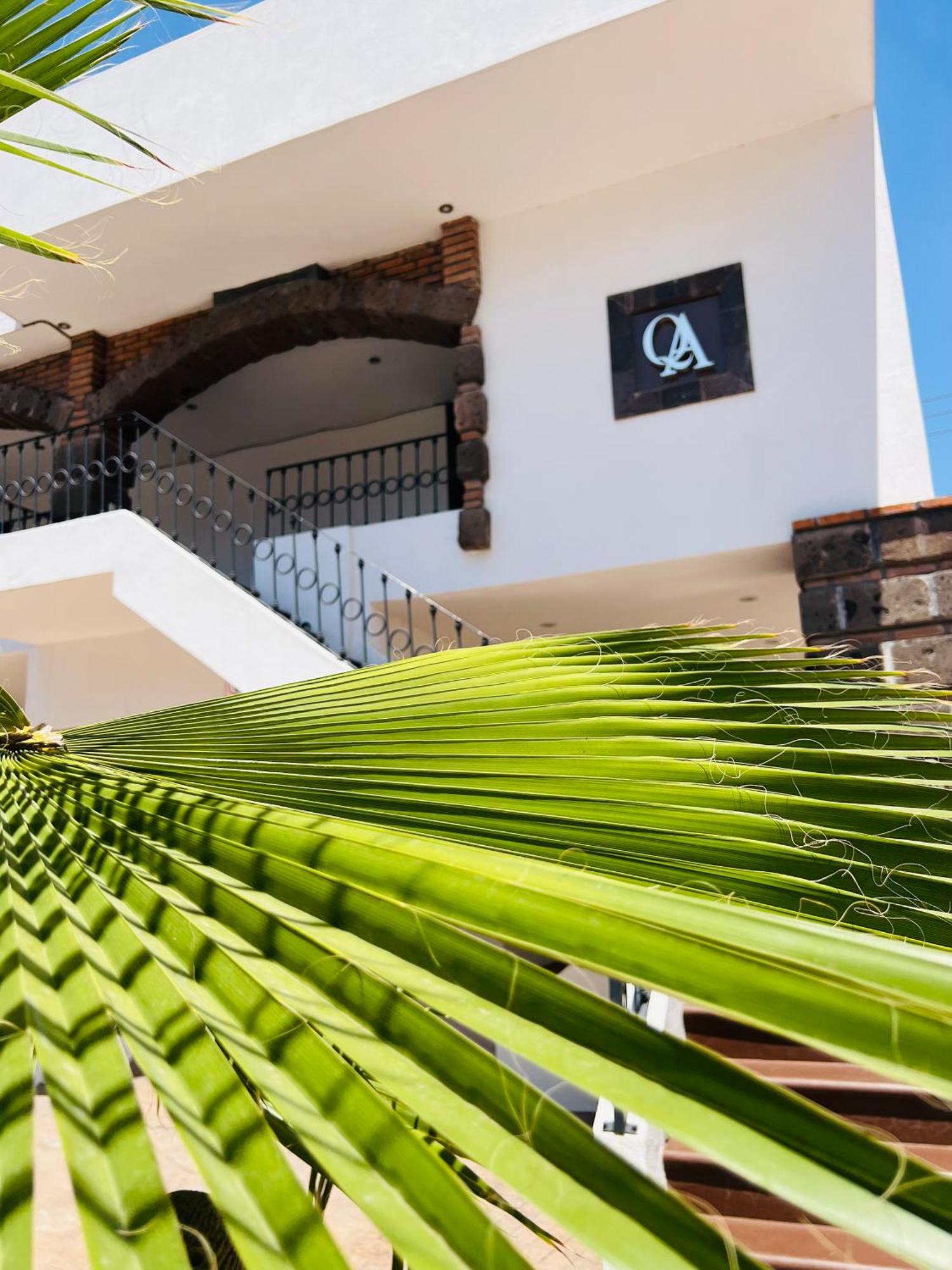 Qa Hotel Σαν Λουίς Ποτοσί Εξωτερικό φωτογραφία