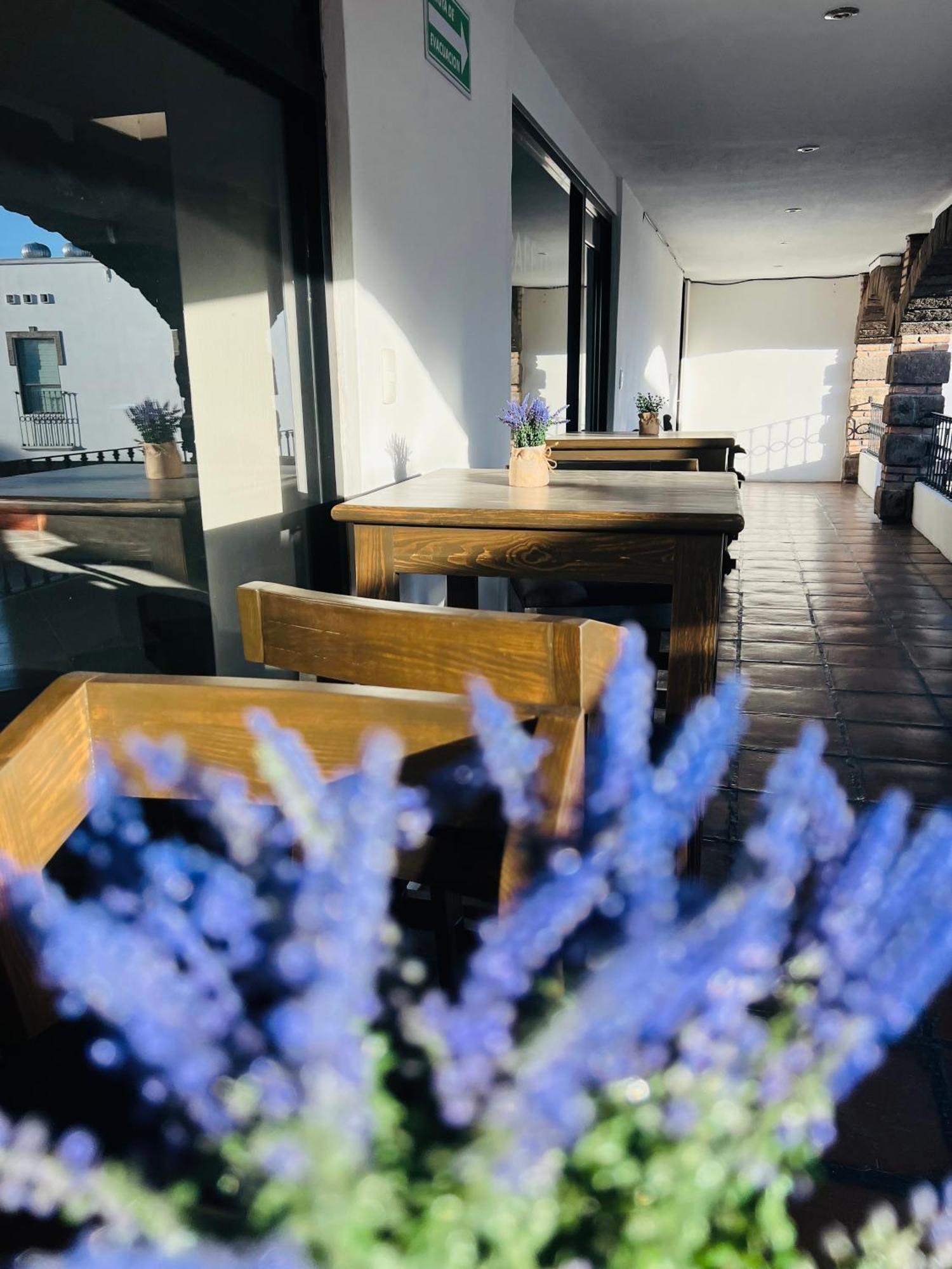 Qa Hotel Σαν Λουίς Ποτοσί Εξωτερικό φωτογραφία